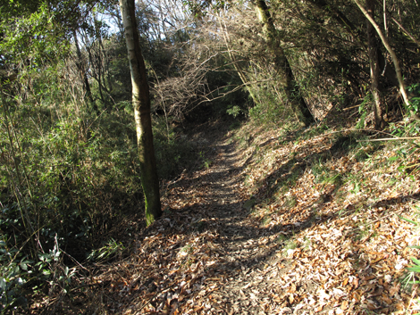 20131223hike (138)